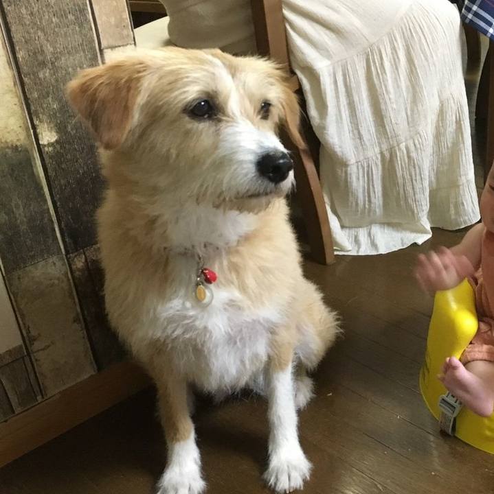 F7d039ed 4205 4baf 99d7 c4810af82e28