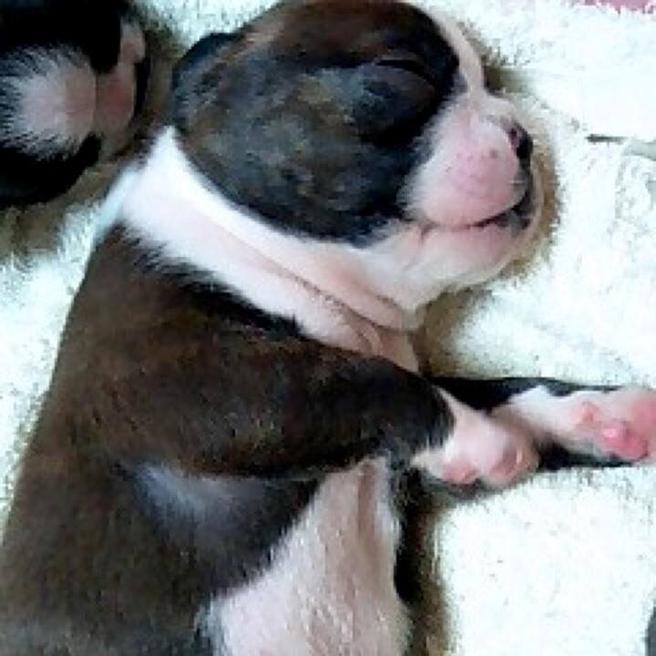 F7d03f07 0012 4ca8 b3fe 043484192315