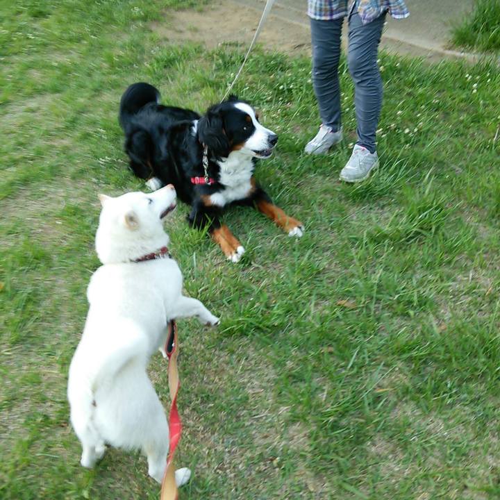 F7d145fc 3288 4e6c 859d 70f9d8cf0d3a