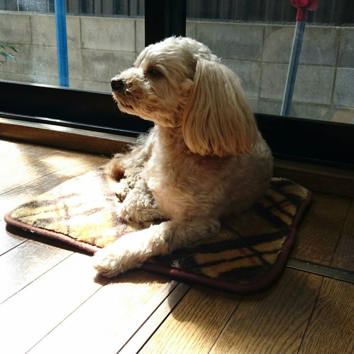 F7d21cdf 76eb 47cf b0b6 d52a78d28872