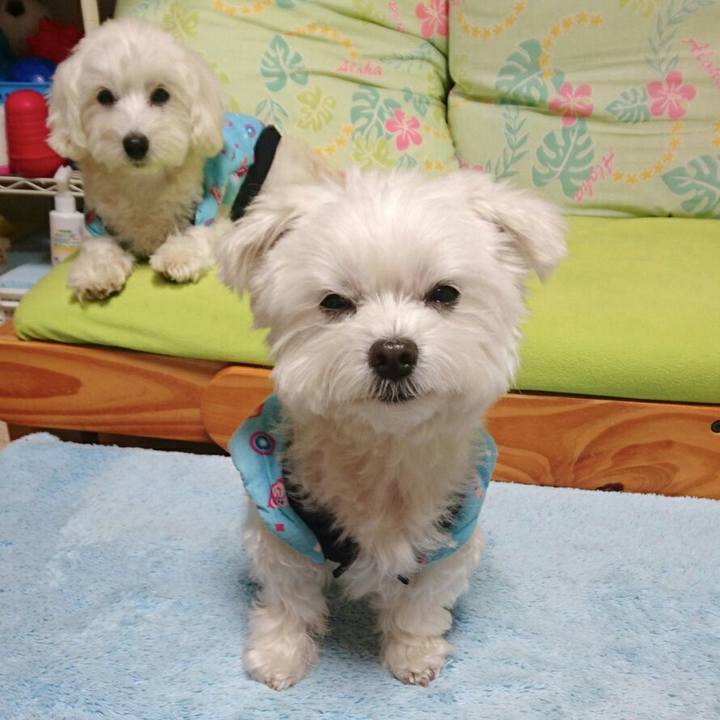 F7d243a1 1b6a 4f85 b679 9e36357494b1