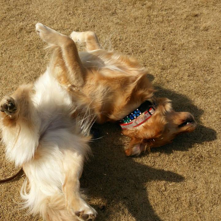 F7d3491c 2eb6 4913 893d 4178e8f5ac97