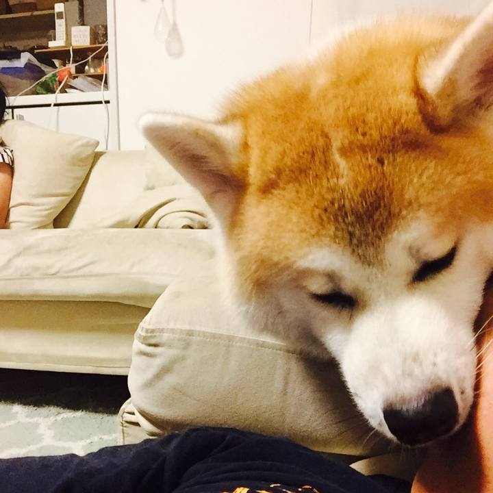 F7d43988 3975 4832 a440 26d8127e5070