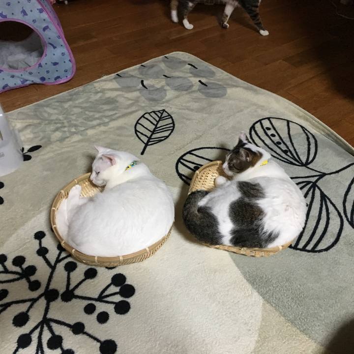 F7d4c755 770c 4fa5 8f17 9b1d5e810f80