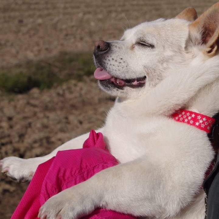 F7d56312 c6de 401c b9c0 7478062370ee