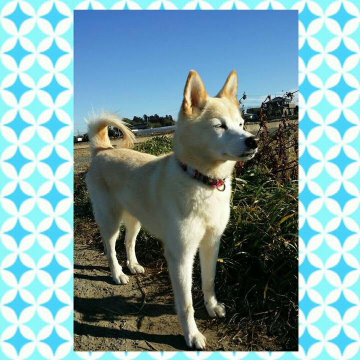 F7d579f4 4b9e 4383 b89c 35b07785ecf4