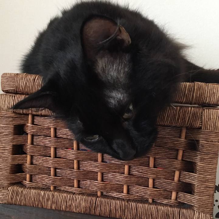 F7d582e3 4396 40d3 ab8b 1168238673be