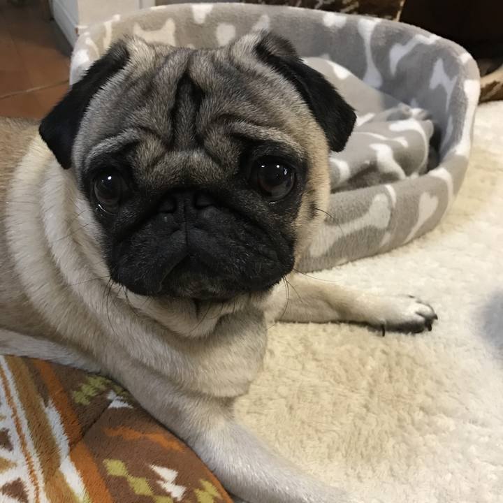 F7d5bc21 a22c 4a3e 8937 d2823b217d78