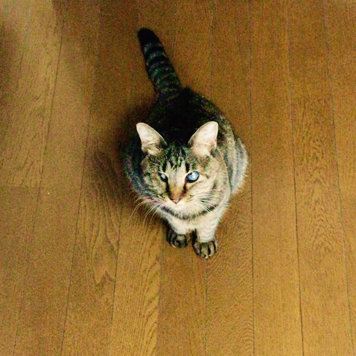 F7d61a16 c2eb 477b bbe1 156e9ee288c1