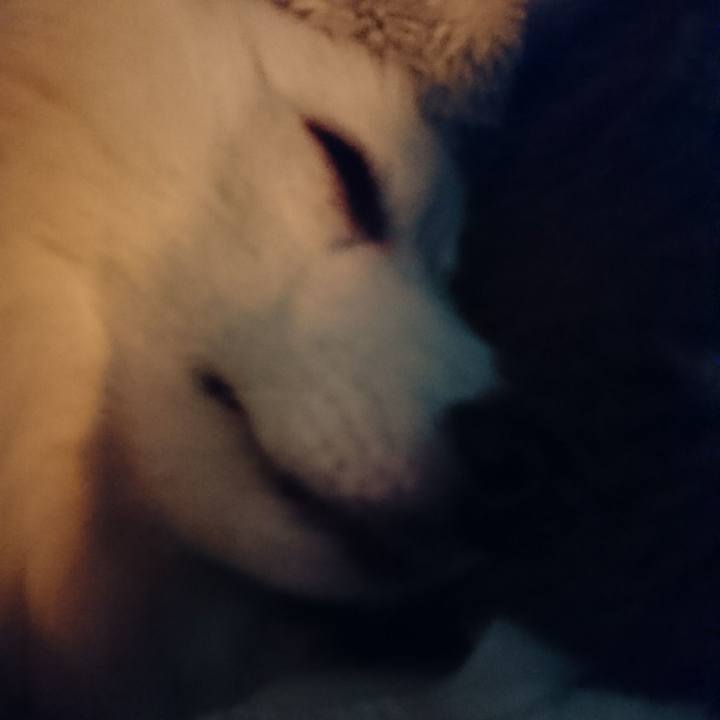 F7d6a341 3688 4319 b9e3 6d050f1e8ad2