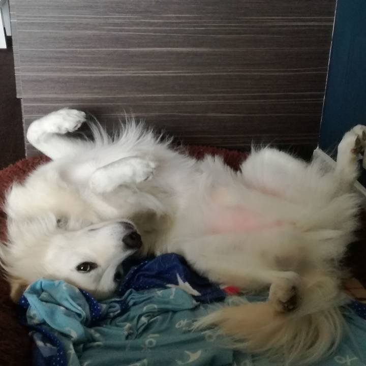 F7d6f7f3 f824 410d a6e3 6e3c4aa391e7