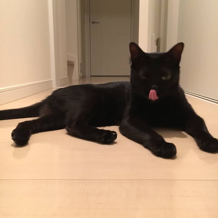 F7d74eaa 7e77 4d10 8c7e 9d2bb2558ec0