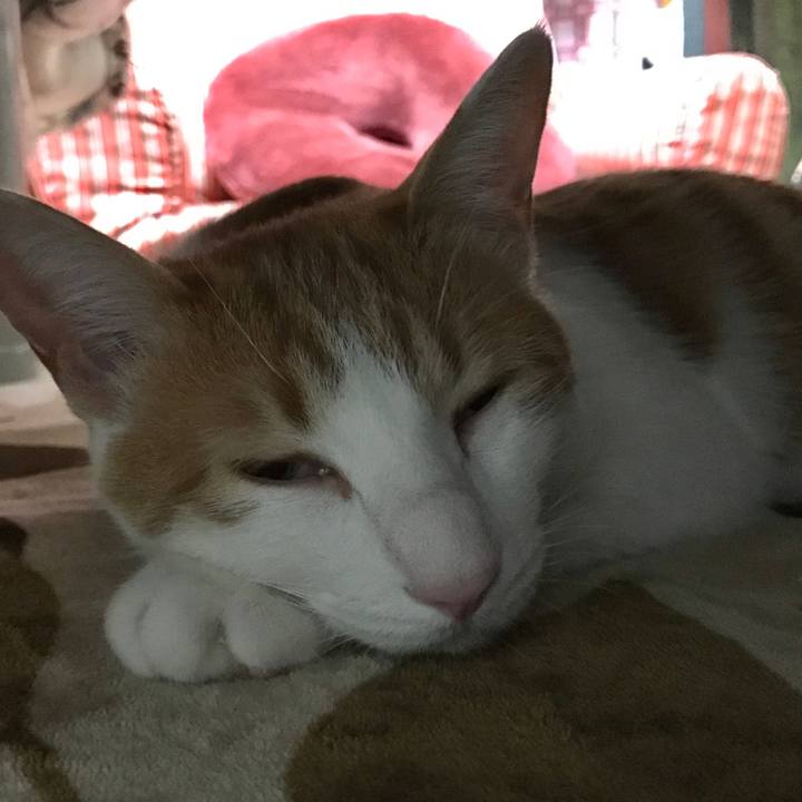 F7d8b804 c646 4a82 a0c6 49da094fd869