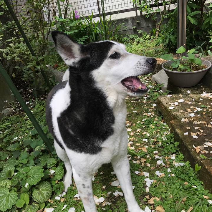 F7d8bcf3 0868 4e95 b2e4 8794e9b98019