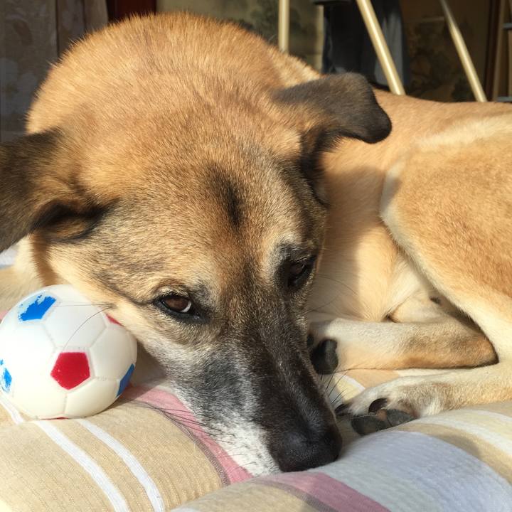 F7d8df8a 79a6 46fb 8891 611f89877e58