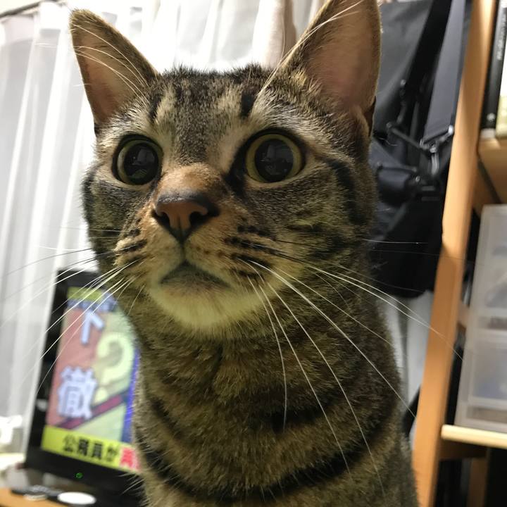 F7d9ab00 3a9a 4efd 8416 4d24260865b8