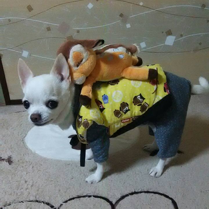 F7da1679 e312 42cf 87fa a89522df3ffe