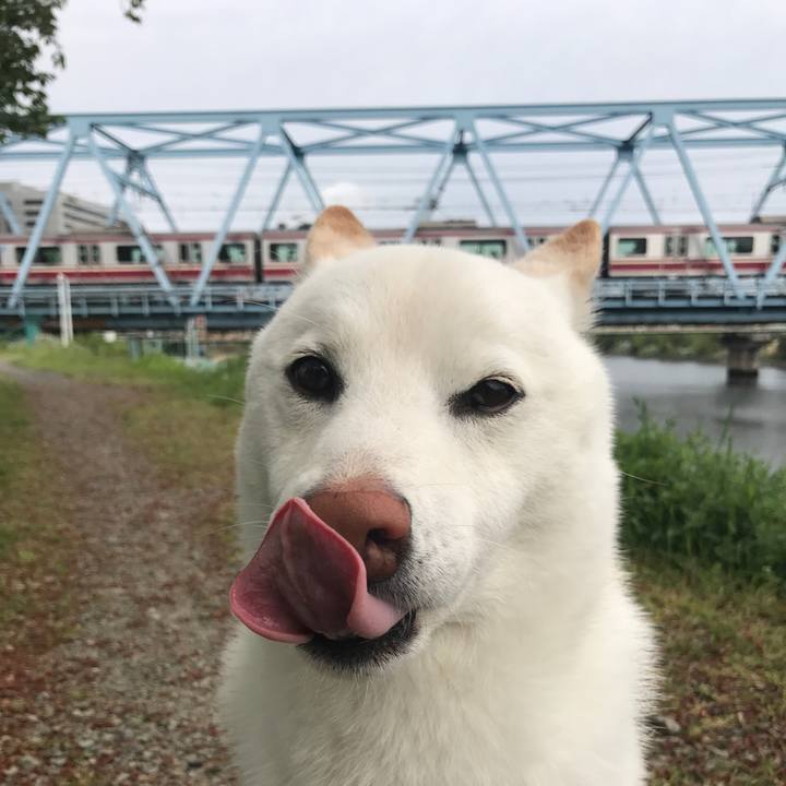 F7da38b0 387d 44bd 915e 1729b92d342f