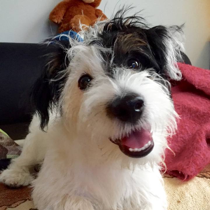 F7da6239 e0f9 4ae1 b611 72689ee938a5