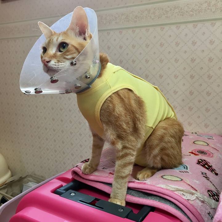 F7da85a3 0175 43f9 a4bd 0ee35ef70be6