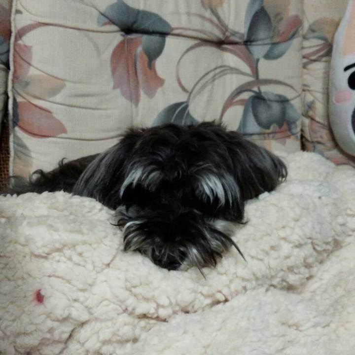 F7da956d 00c2 4632 b78a e1391b9e252c