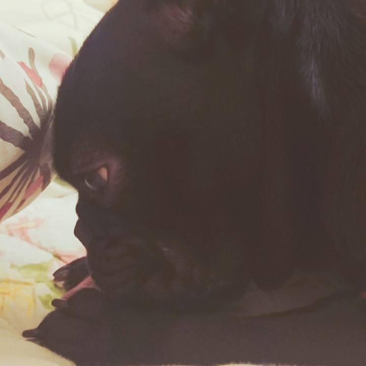 F7db471b 2daf 4fed 9f44 c3812b21d5ac