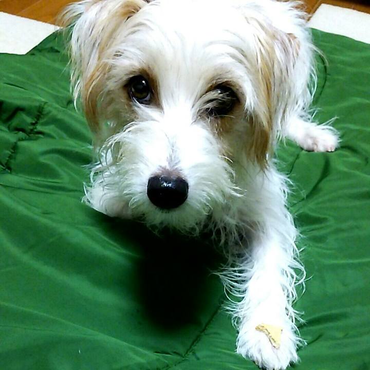 F7dbde61 f0af 42d7 9a45 8efeb2c1a31a