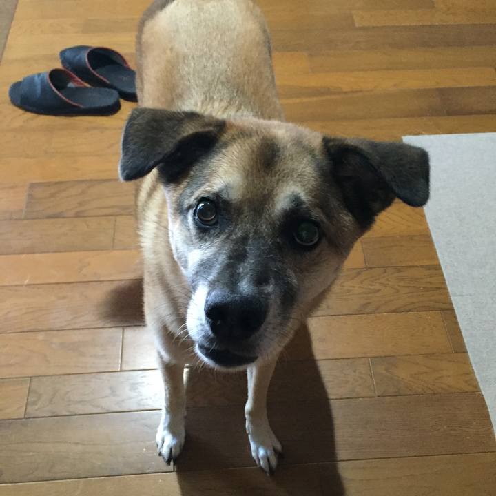 F7dcad3c b1e7 4a84 8729 06c47a98bb2a