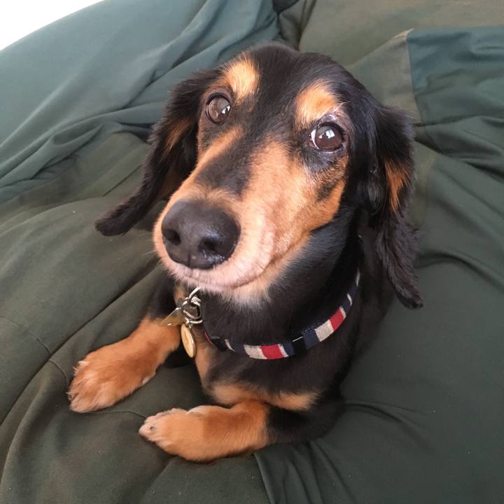 F7dcea61 d643 48c8 940b f7210d05ffdc