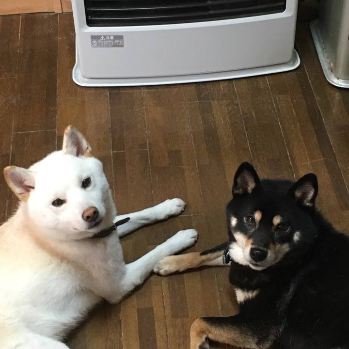 F7ddc05f eec5 4ea0 bd36 97e8dd498469