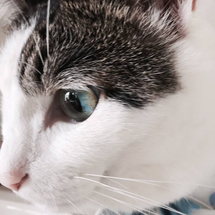 F7de44fc 4f78 4ee6 92d9 ad1b2c538d9d