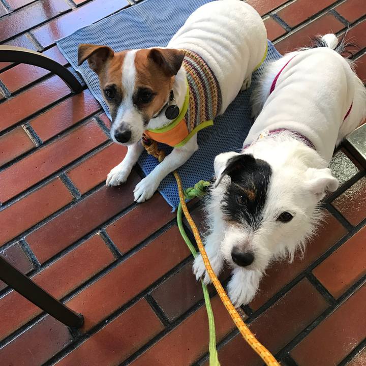 F7de67bb 24dc 4ec3 91f0 98b44edd55d7