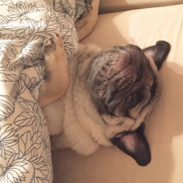 F7dea696 3e6b 4c41 bcbf 20d02e291a9e