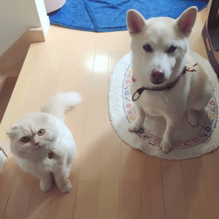 F7df1621 43a2 465c 88b6 dc36e371feb7