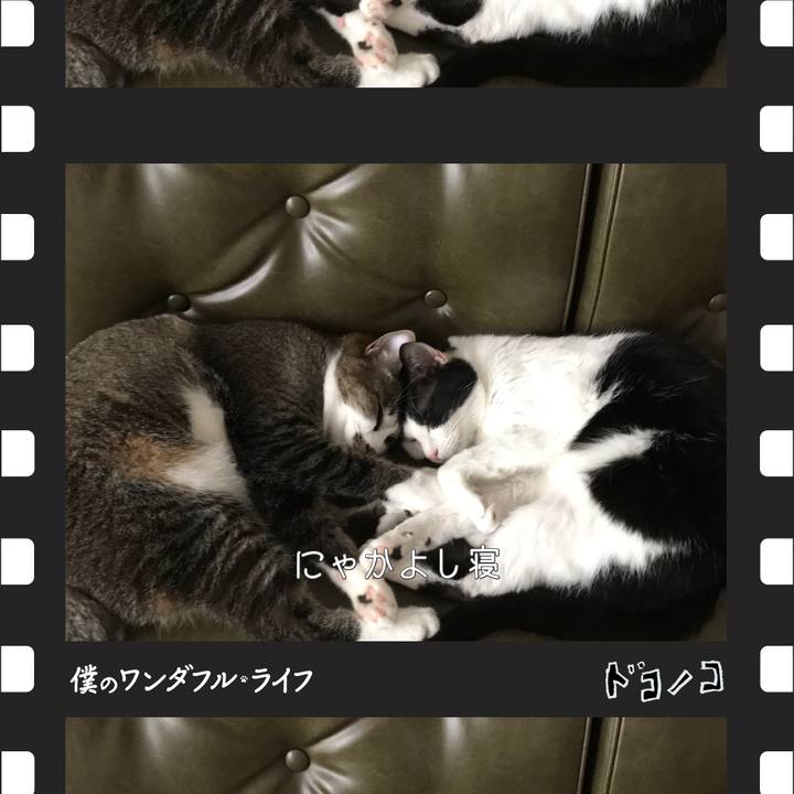 F7df2259 461a 4d7d 9f03 5ea2b55f8431