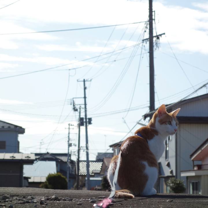 F7df33ea 1be3 4db1 b09c d83ea03b0501