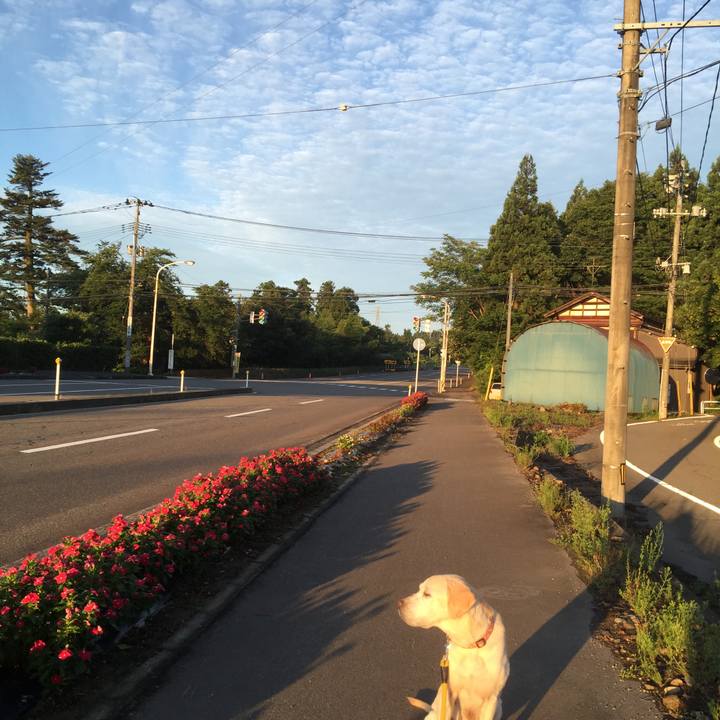 F7dfaf55 5bf5 4ea3 8eca e60a4dec3bcd