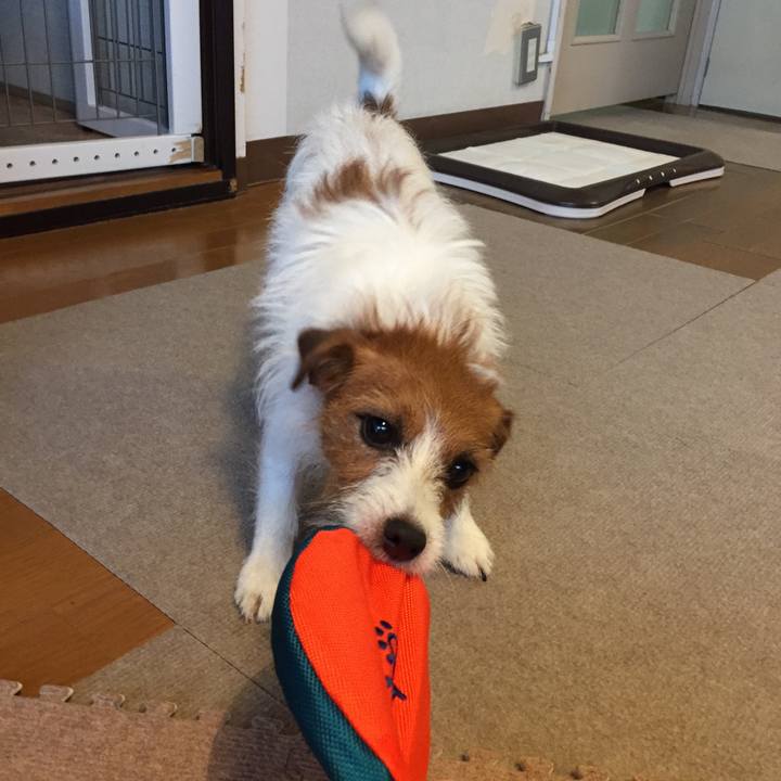 F7e00382 b8b0 483f a9d7 c75badad3fbf