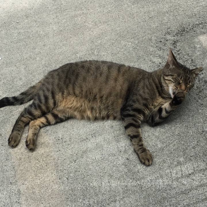 F7e08341 82bb 4213 94d0 b780e0540e6f