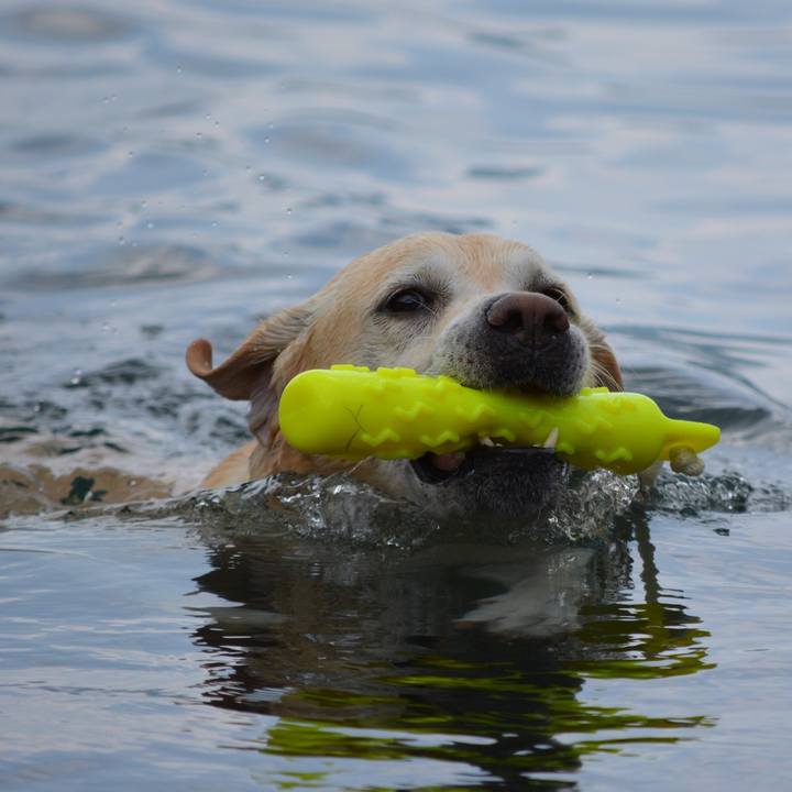 F7e0fcef 1f02 4bbc a963 a3dfde76c343