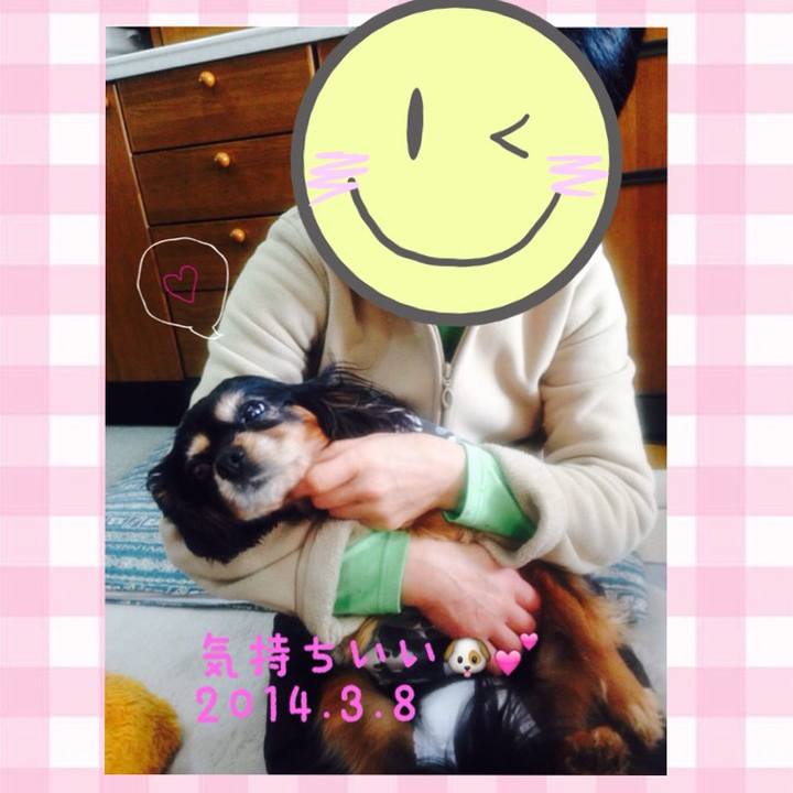 F7e137ff b292 4987 b075 71e4fcd63129