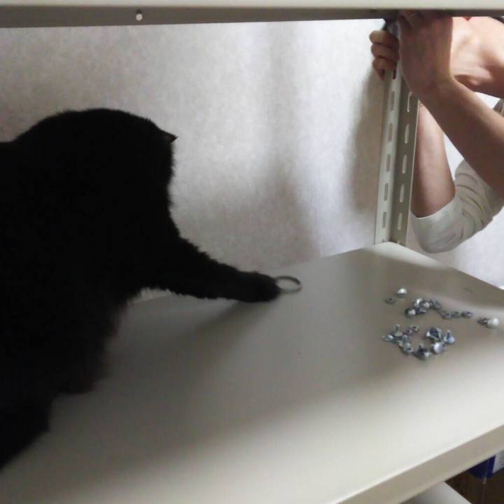 F7e1b07a 8eaf 498a 8d17 2c8ce863975a