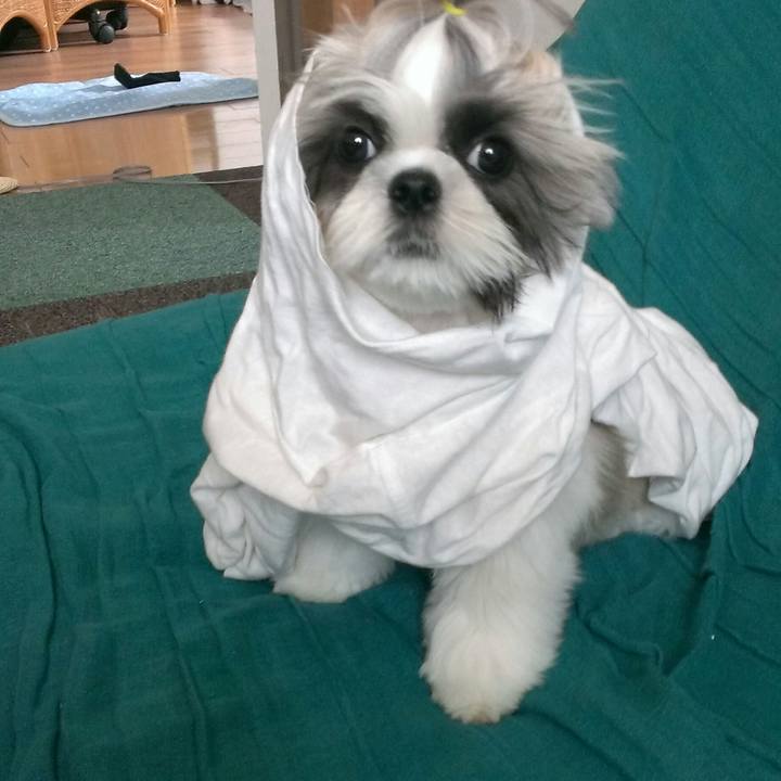 F7e1c1d9 5022 4fef 8181 03fe58fbb2dc