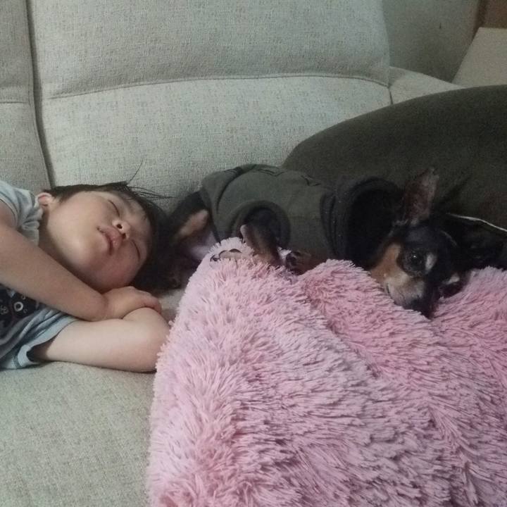 F7e1ec89 b551 4acc 82dc 57c2b85ed01b