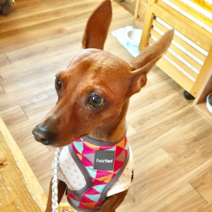 F7e1f26f a3b7 40bb 8851 93c25286d355