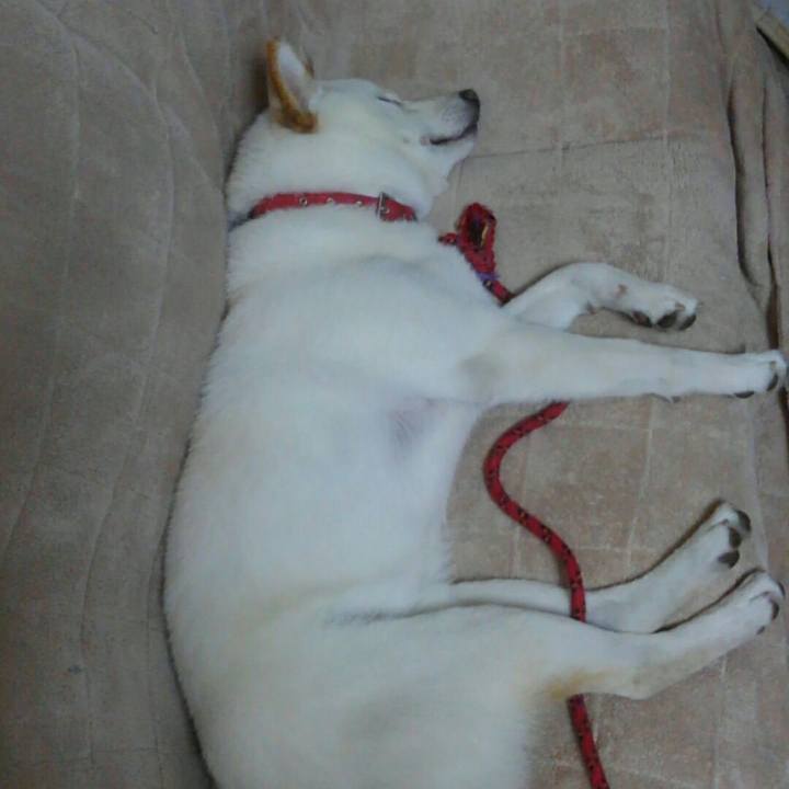 F7e2361c 5f13 49ec adca 9c762703c7c5