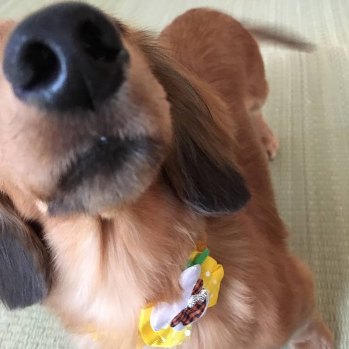 F7e25234 b7f5 4aae b06f 62ccd9253708