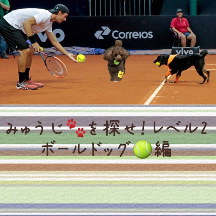 F7e29f4b 5903 4bf5 b7bc d860036e5116