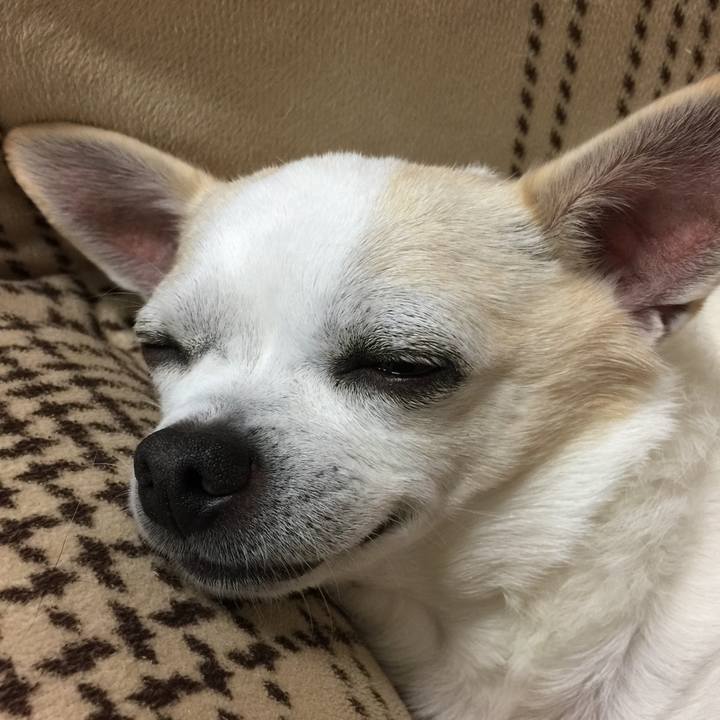 F7e308b9 6ab3 45be 8a2b dde74f519906