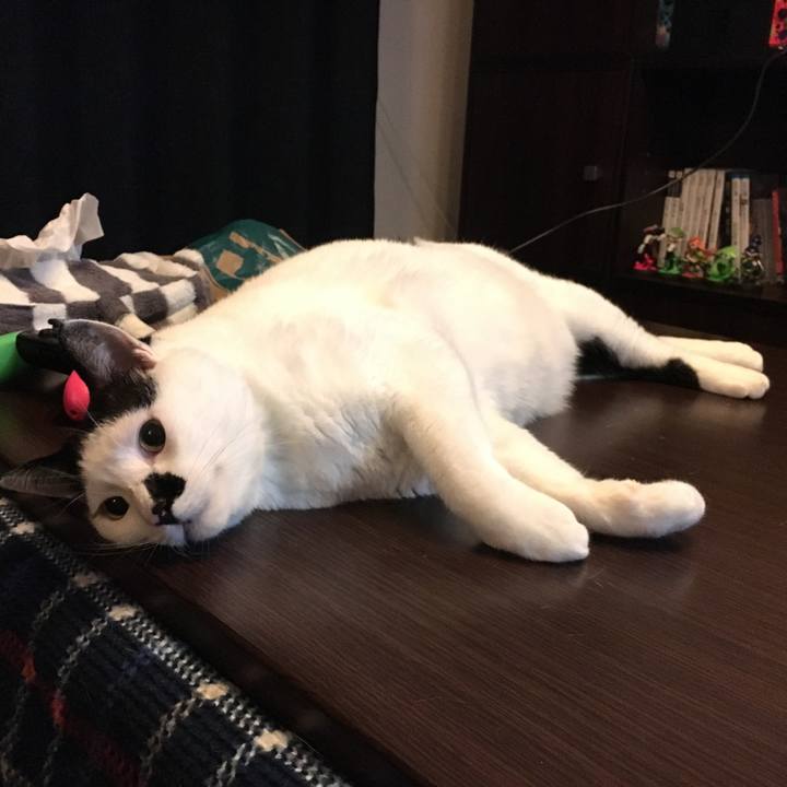 F7e35ef8 d16e 4d78 84c0 12bf2a0e50c1